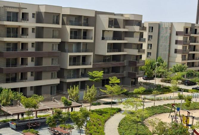 8513602 - Property Image 3