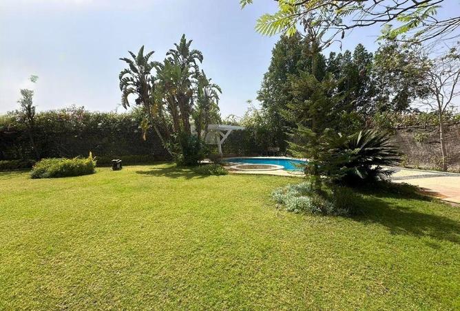 54749114 - صورة العقار 3