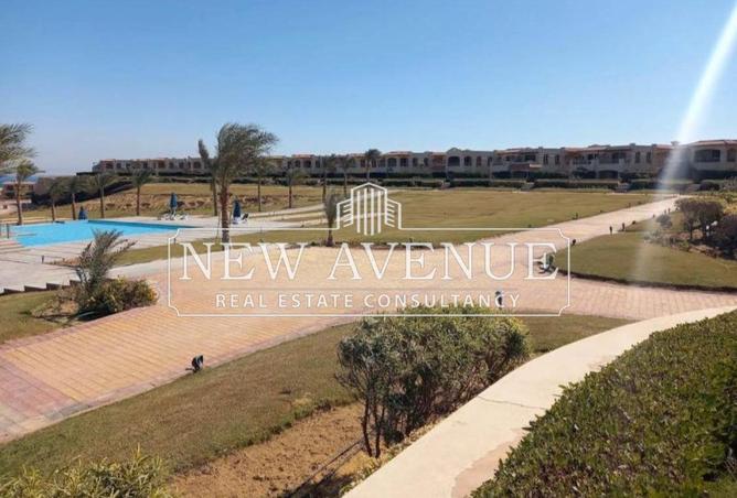 64635129 - Property Image 3