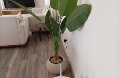 Apartment - 2 - 2 for rent in Stone Residence - 5th Settlement Compounds - The 5th Settlement - New Cairo City - Cairo