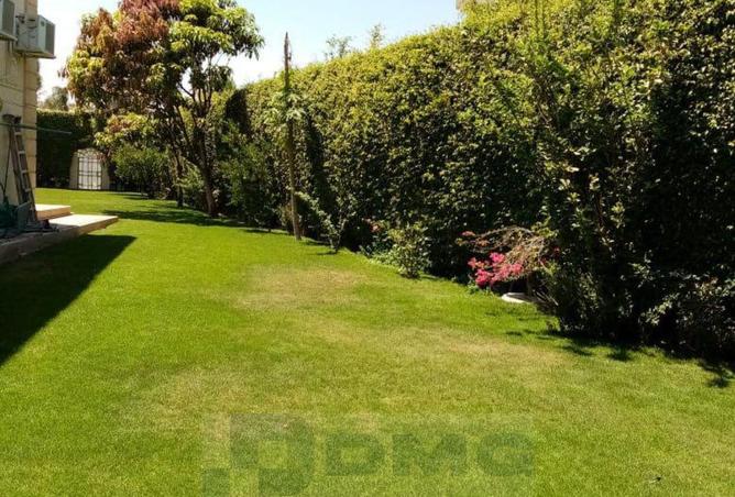 74595421 - Property Image 2