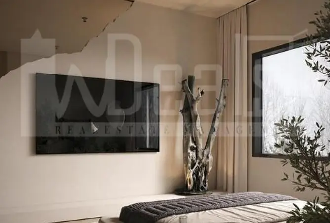 111894331 - Property Image 3