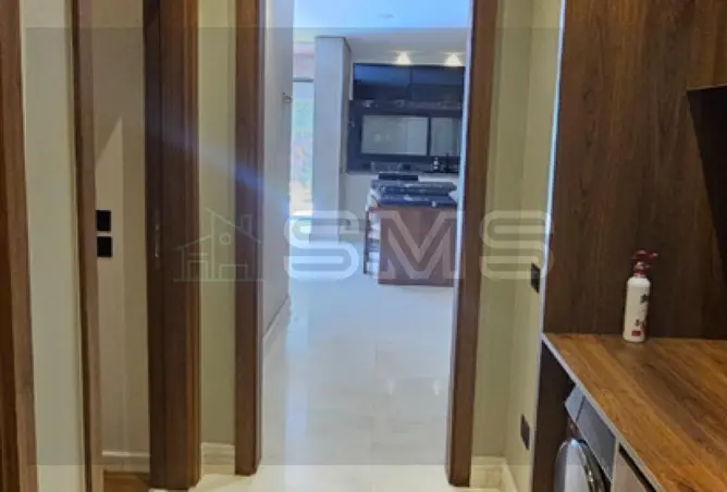 113255771 - Property Image 3