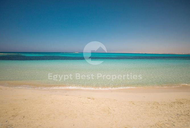 96867191 - Property Image 3