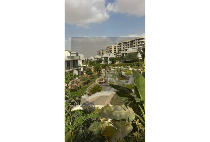 54500989 - صورة العقار 2