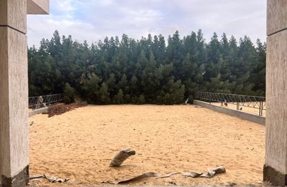 Villa - 3 Bedrooms - 3 Bathrooms for sale in Privado - Madinaty - Cairo