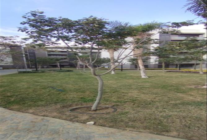 55498395 - Property Image 3