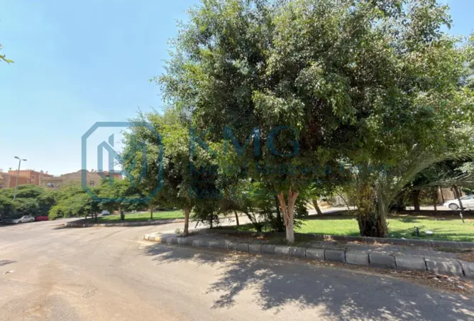 121150055 - صورة العقار 3