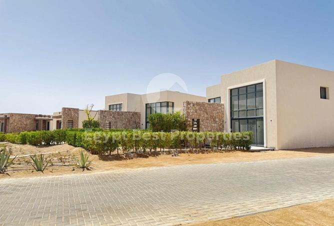 64140167 - صورة العقار 3