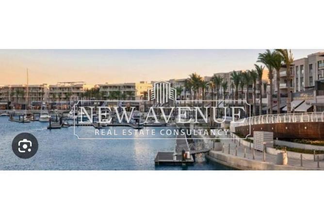 56495994 - Property Image 3