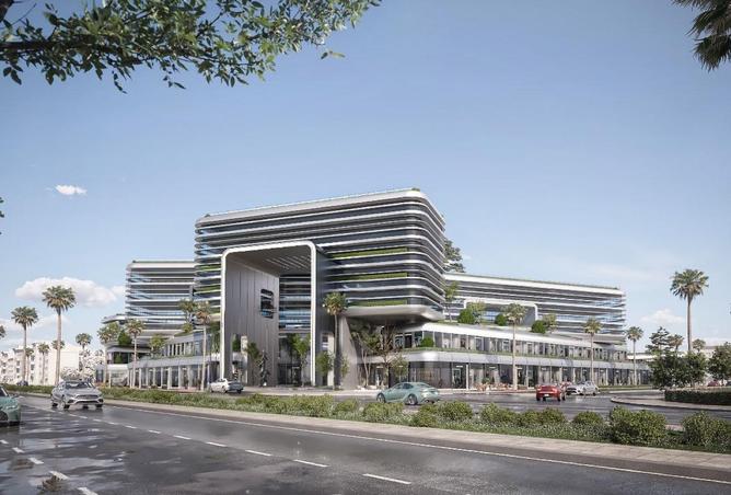 54753756 - Property Image 3