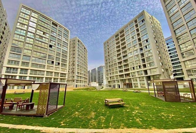 8516387 - Property Image 3