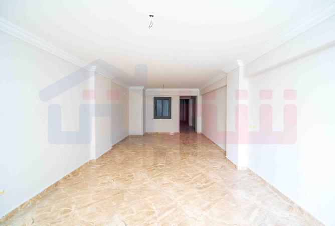 73501949 - Property Image 3