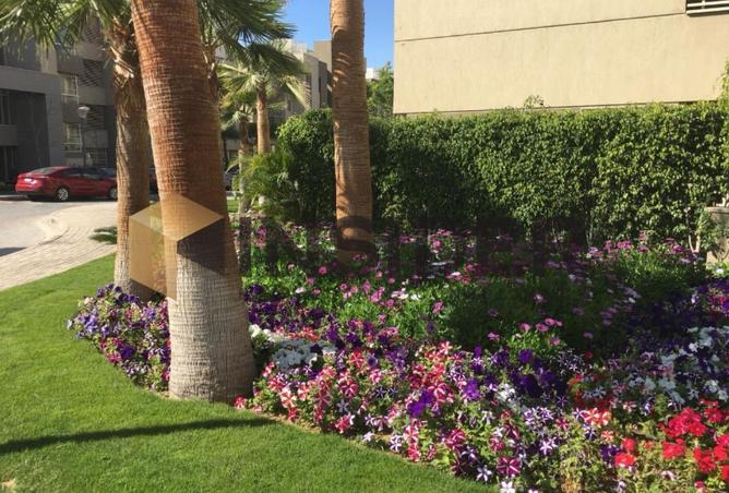 8691321 - Property Image 3