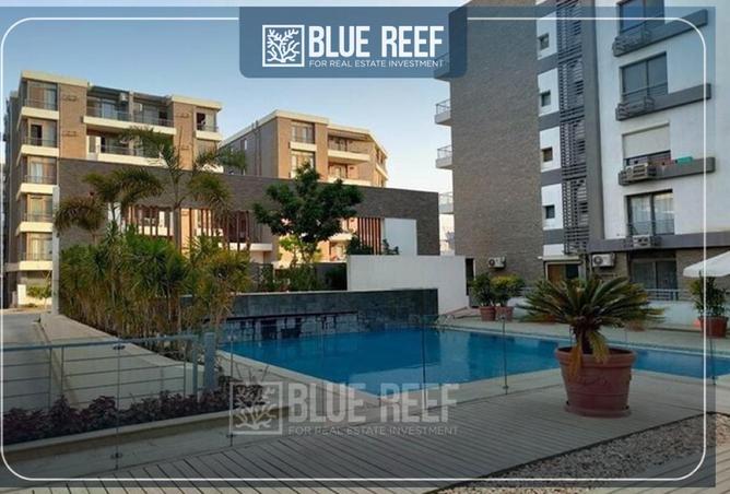 68537610 - Property Image 3