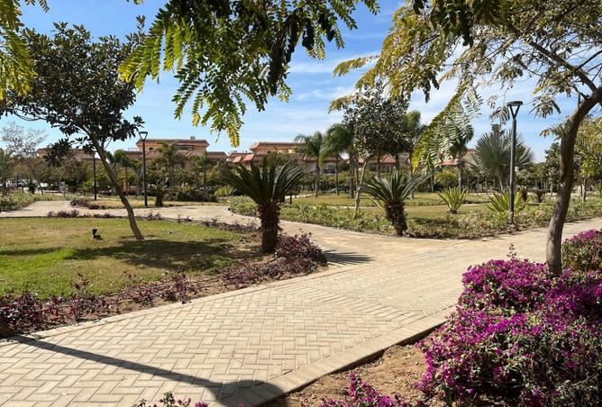 55741530 - صورة العقار 3