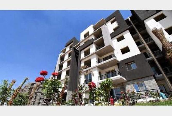 52199117 - Property Image 3