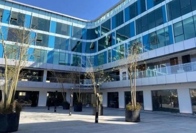 8519910 - Property Image 3