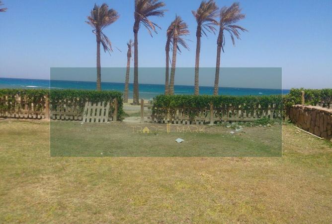 65656565 - صورة العقار 2