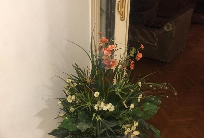 53474637 - صورة العقار 3