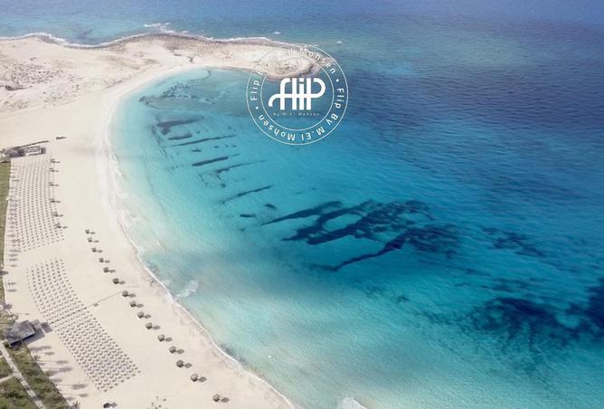 67741281 - صورة العقار 2