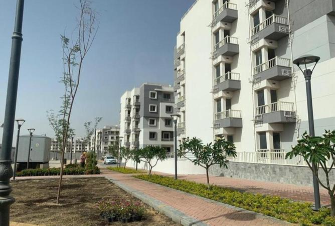 69568633 - صورة العقار 3