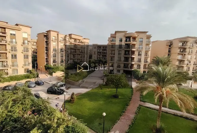 116233937 - Property Image 3