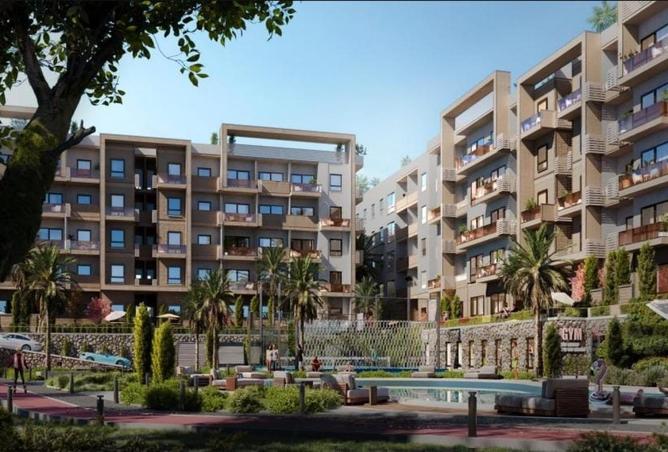 52721974 - صورة العقار 3