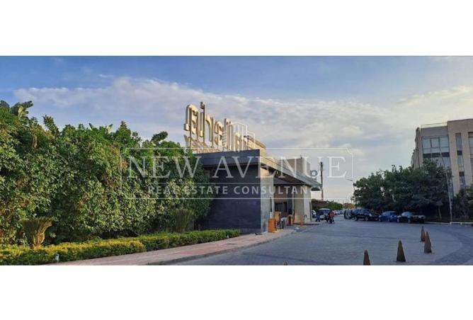 101494567 - Property Image 3