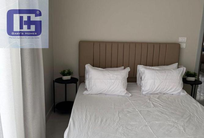 55510764 - Property Image 3