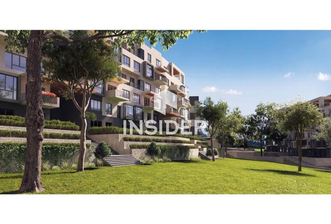 62646077 - Property Image 3