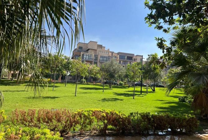 67469393 - صورة العقار 3