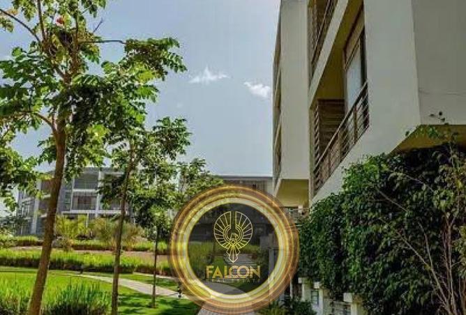 63888484 - Property Image 3