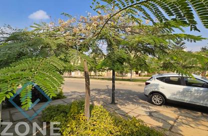 Villa - 3 Bedrooms - 3 Bathrooms for sale in Privado - Madinaty - Cairo Villa - 3 Bedrooms - 3 Bathrooms for sale in Privado - Madinaty - Cairo