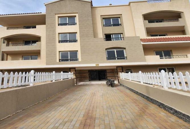 70357498 - Property Image 3