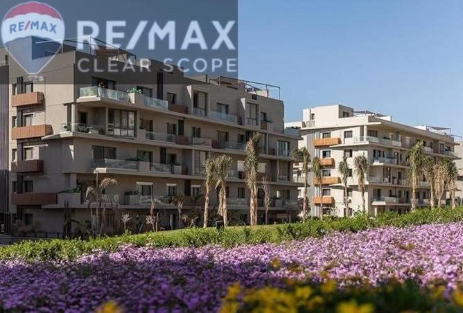 56003946 - Property Image 2