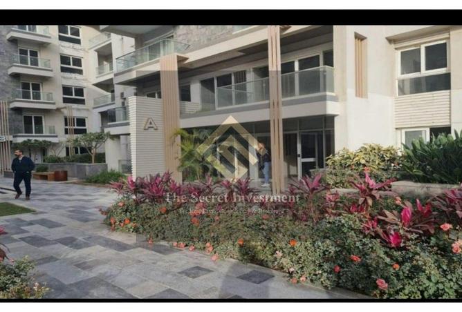 66705394 - Property Image 3