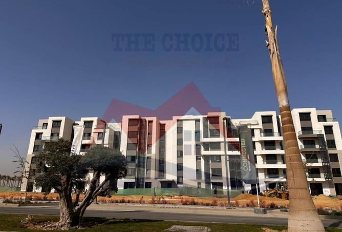 59748139 - Property Image 2