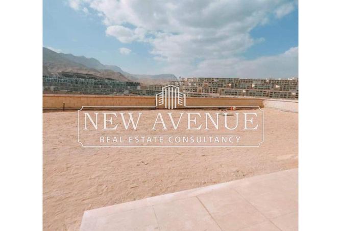 59494246 - Property Image 3