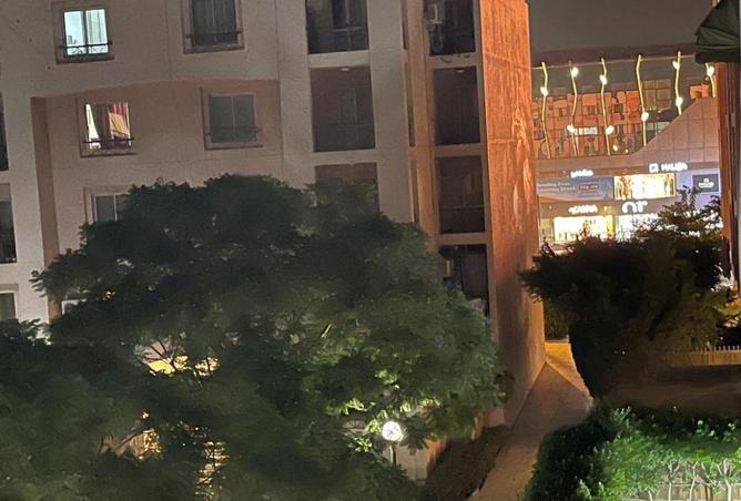 67472385 - Property Image 3