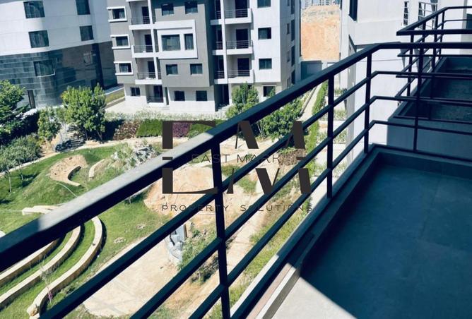 58493065 - Property Image 3