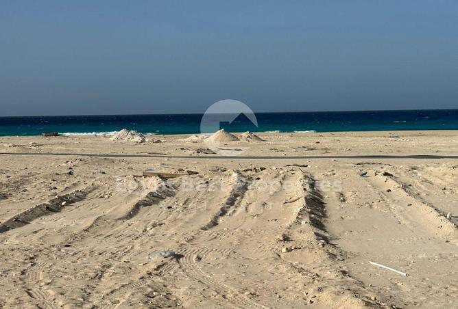 54492453 - صورة العقار 3