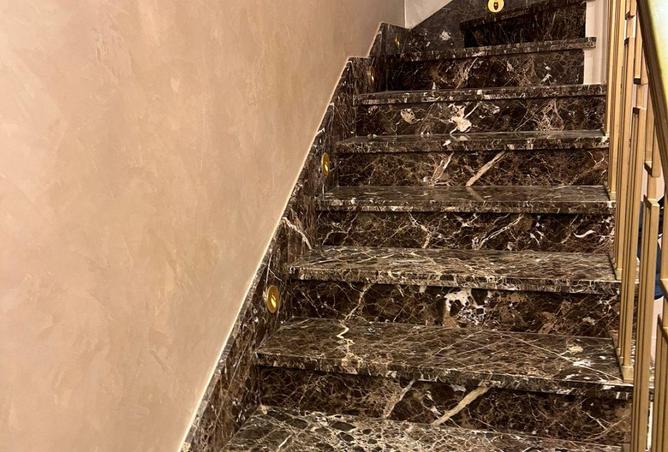 8555818 - Property Image 3