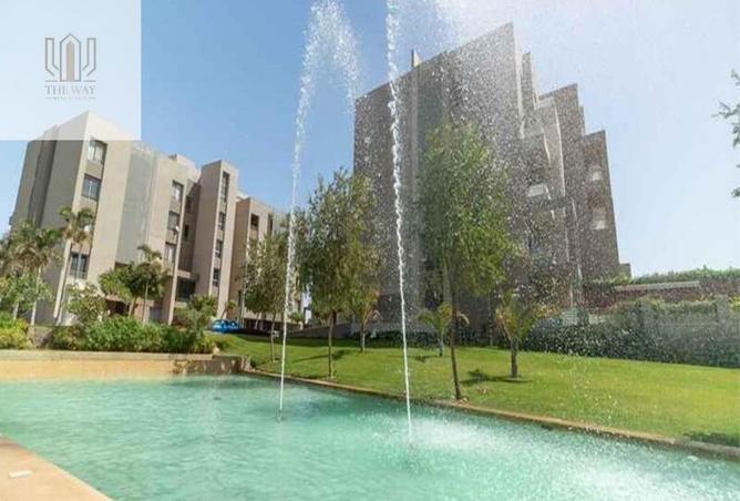 62647650 - Property Image 3