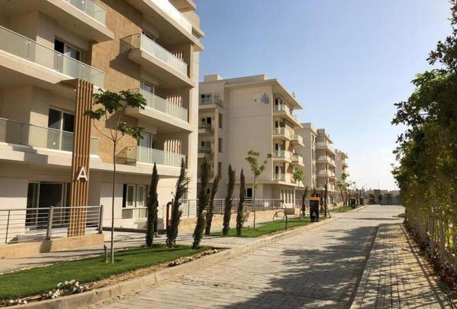 64905525 - Property Image 3