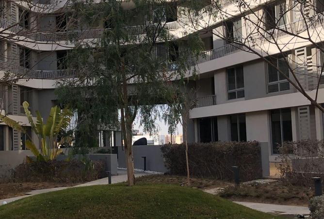 52724545 - صورة العقار 3