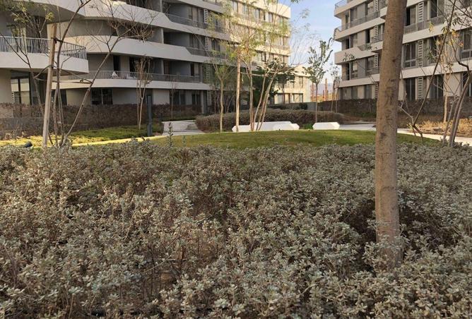 52724545 - الصورة الرئيسية للعقار