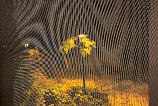94095164 - صورة العقار 3