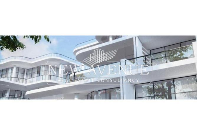 66432668 - Property Image 3