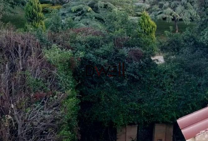 8647238 - Property Image 2